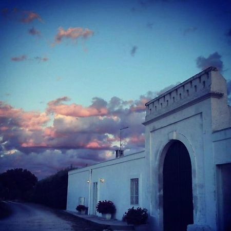 Masseria Boezio Ostuni Bed & Breakfast ตอร์เรซานตาซาบีนา ภายนอก รูปภาพ
