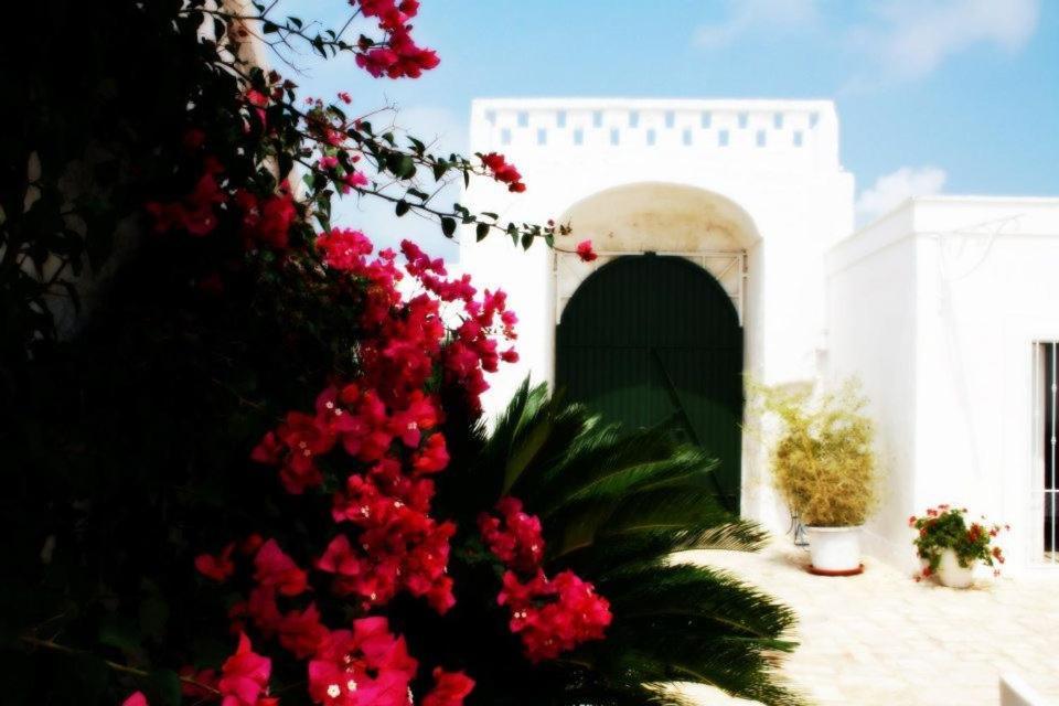 Masseria Boezio Ostuni Bed & Breakfast ตอร์เรซานตาซาบีนา ภายนอก รูปภาพ
