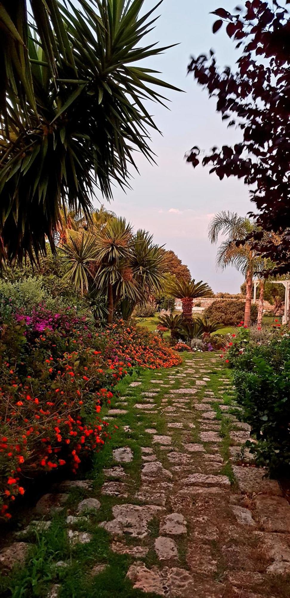 Masseria Boezio Ostuni Bed & Breakfast ตอร์เรซานตาซาบีนา ภายนอก รูปภาพ