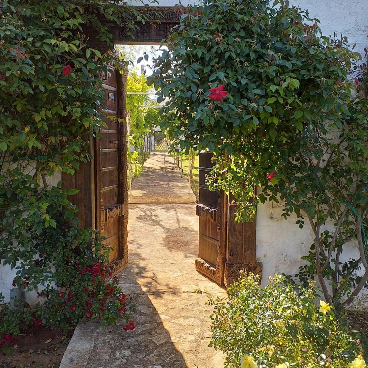 Masseria Boezio Ostuni Bed & Breakfast ตอร์เรซานตาซาบีนา ภายนอก รูปภาพ