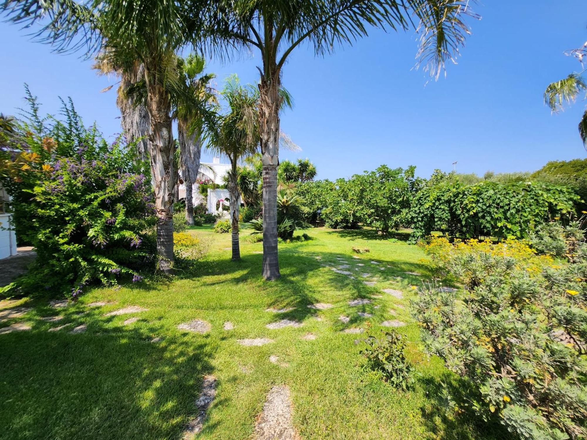 Masseria Boezio Ostuni Bed & Breakfast ตอร์เรซานตาซาบีนา ภายนอก รูปภาพ